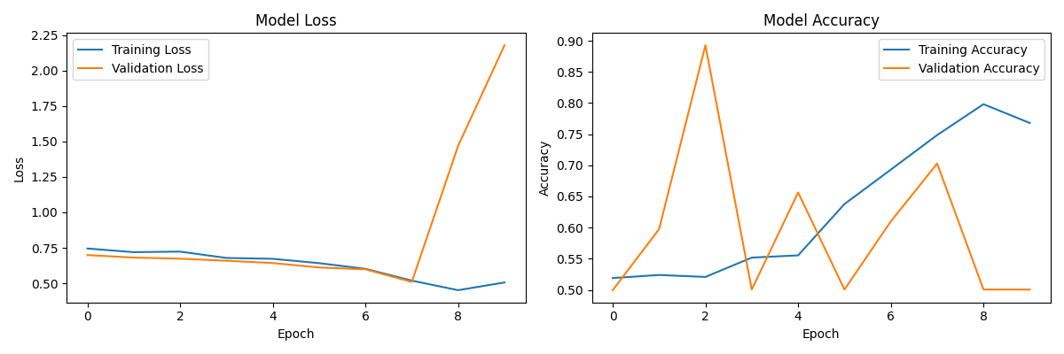 Training History Training History